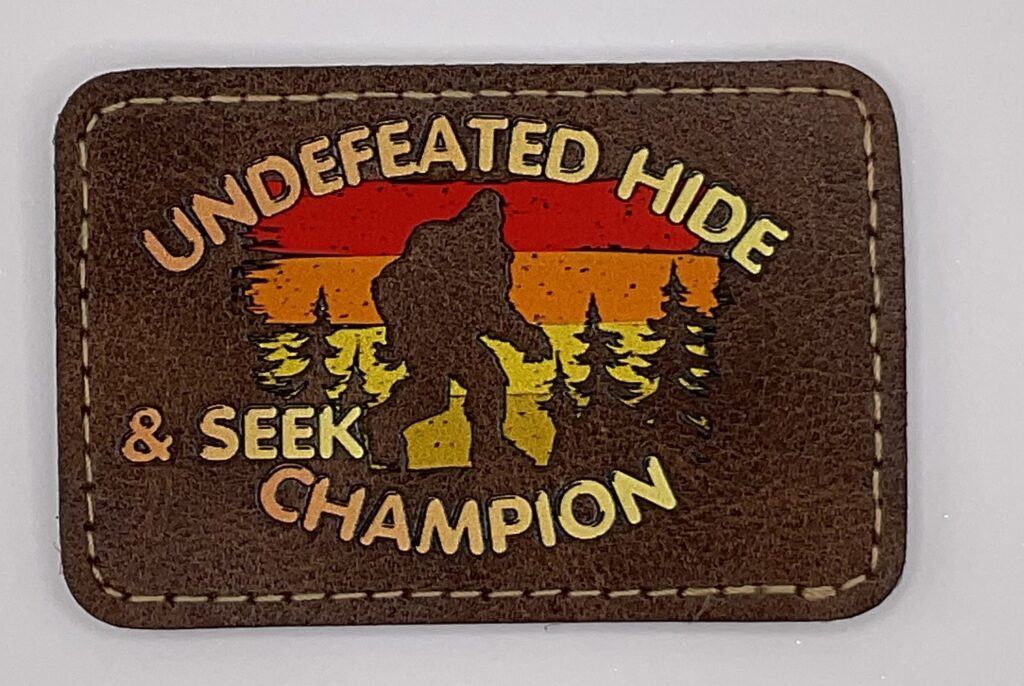 Hide and Seek Champion
